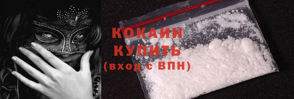 прущие грибы Михайловск