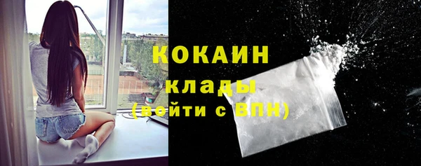 прущие грибы Михайловск
