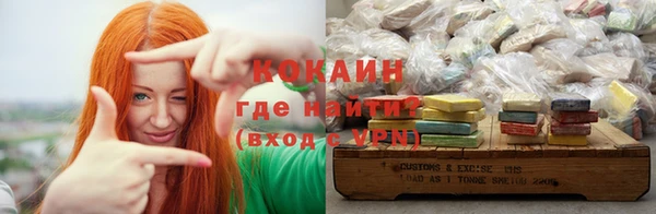 прущие грибы Михайловск