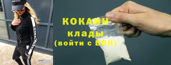 прущие грибы Михайловск