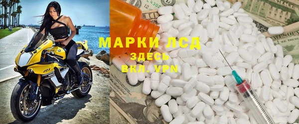 прущие грибы Михайловск