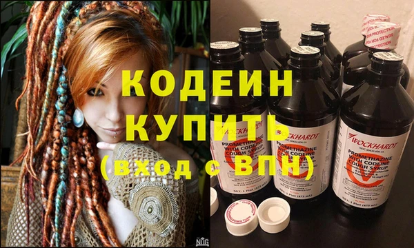 прущие грибы Михайловск