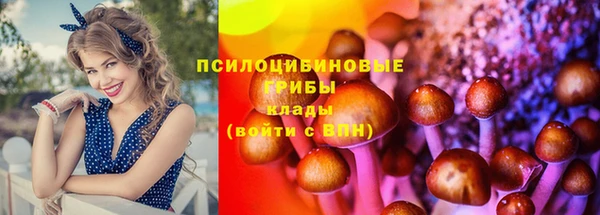 ECSTASY Михайлов