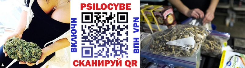наркота  Петровск-Забайкальский  MEGA как войти  это Telegram  Псилоцибиновые грибы мухоморы 